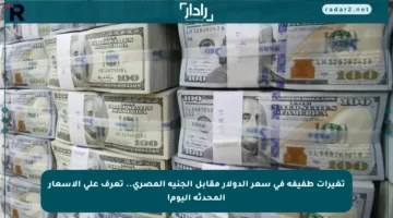 تغيرات طفيفة في سعر الدولار مقابل الجنيه المصري.. تعرف على الأسعار المحدثة اليوم!